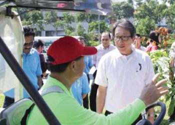 Road Cleared For Progress