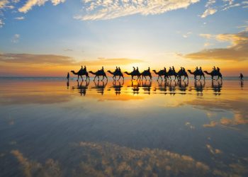 Basking in Broome’s Beauty