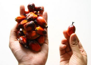 Sourcing Responsibly