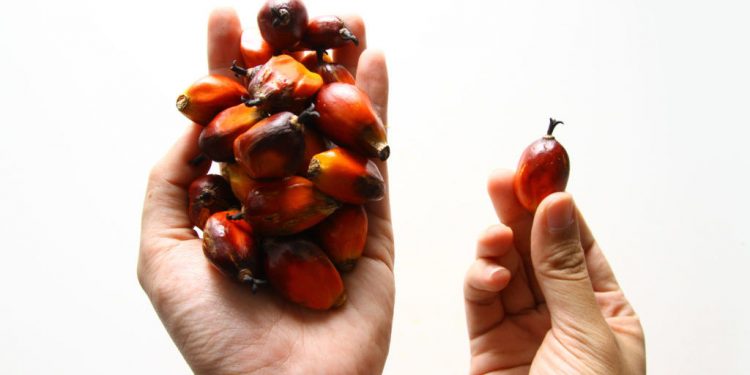 Sourcing Responsibly