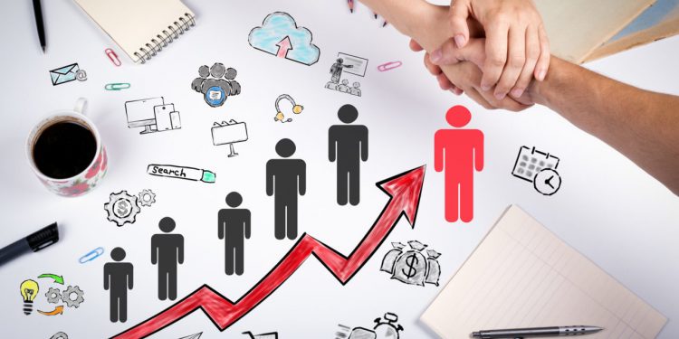 new skills programmes at LearningHub