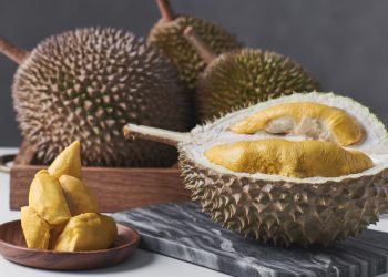 The Durian Story