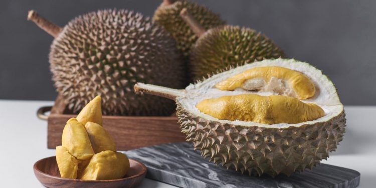 The Durian Story