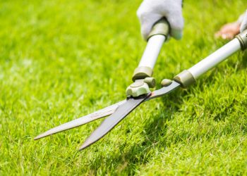 Better Wages for Landscape Employees
