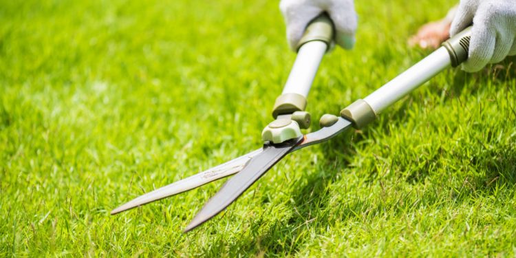 Better Wages for Landscape Employees