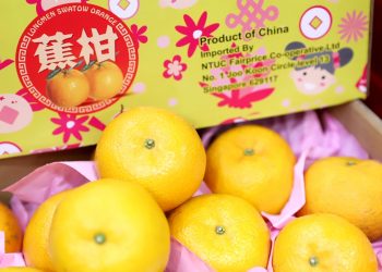 Swatow Oranges