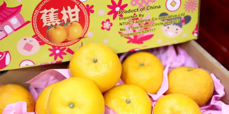Swatow Oranges