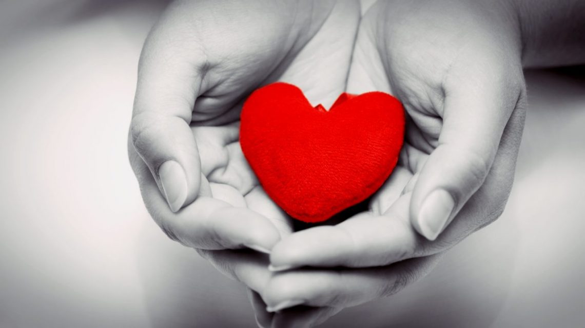 Project Heart in Hands