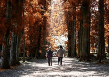 Is there a Definite Retirement Age?
