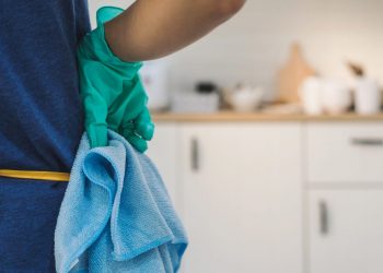 Better Match for Employers in Hiring Foreign Domestic Workers