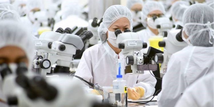 Edwards Lifesciences: Helping Employees Prepare for Future Challenges at the Workplace
