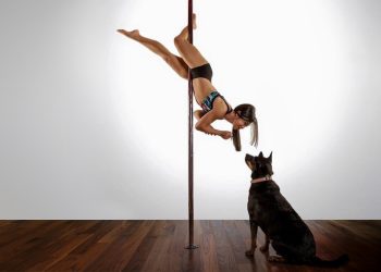 Confessions of a Banker-Turn-Entertainer