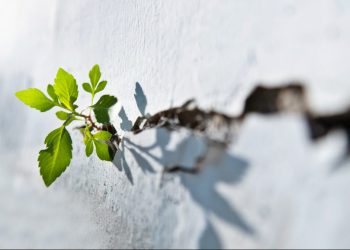 9 Things Workers Should Know About Budget 2021