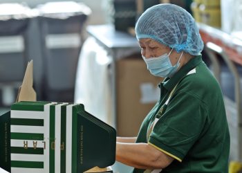 The Importance of Older Workers and How to Take Care of Them