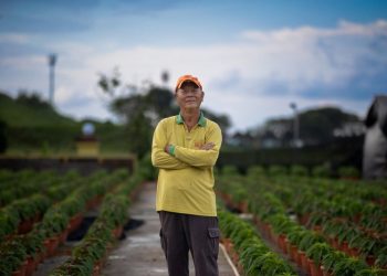 Cultivating Passion: How the PWM Helps a Senior Landscape Worker Achieve Financial Independence