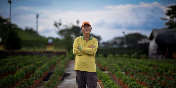 Cultivating Passion: How the PWM Helps a Senior Landscape Worker Achieve Financial Independence